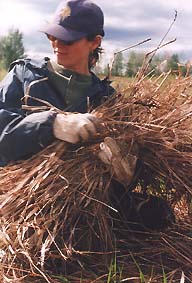 Kaija Kiuru, Visual Artist